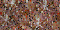 Glitter, Глиттер