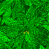 Glitter, Глиттер