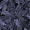 Glitter, Глиттер