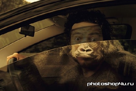 Шаблон для photoshop - Отражение примата в стекле