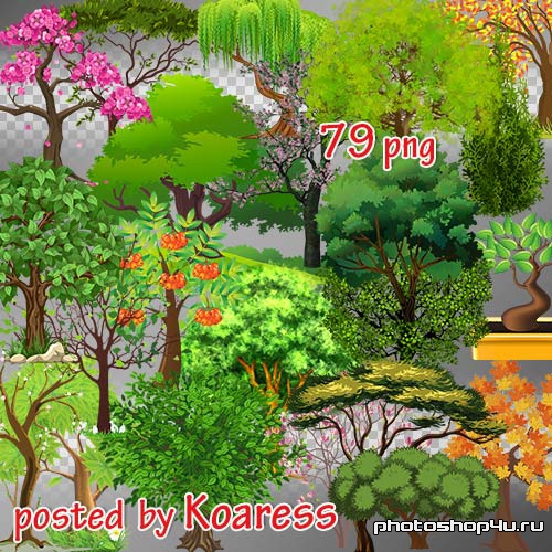 Png клипарт для фотошопа - Нарисованные деревья